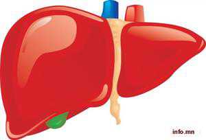 Гепатит өвчний талаар дахин эргэцүүлэн бодоцгооё