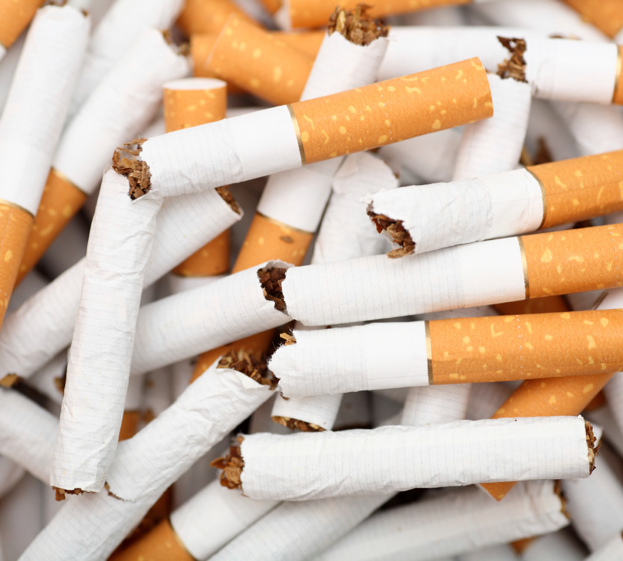 ОХУ-д  тамхи  татдаг  иргэдийн  тоо зургаан хувиар буурчээ