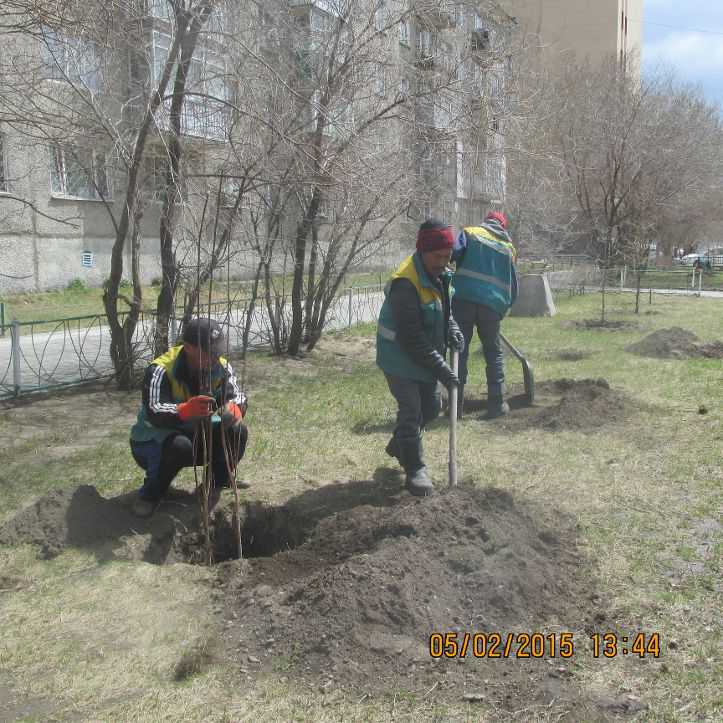 ХУТ-т ногоон байгууламжийн ажил үргэлжилж байна                   