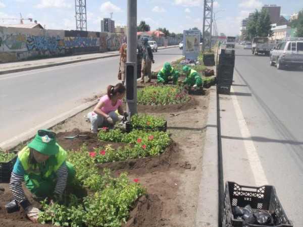 Ногоон байгууламж арчлалтад нийт 5.8 тэрбум төгрөг зарцуулна