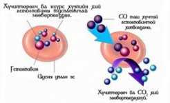 Угаарын хийнд хордвол ямар арга хэмжээ авах вэ?