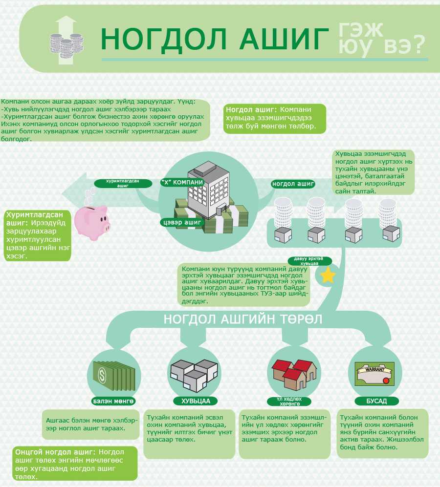 ТАНЫ САНХҮҮГИЙН МЭДЛЭГТ: НОГДОЛ АШИГ гэж юу вэ?