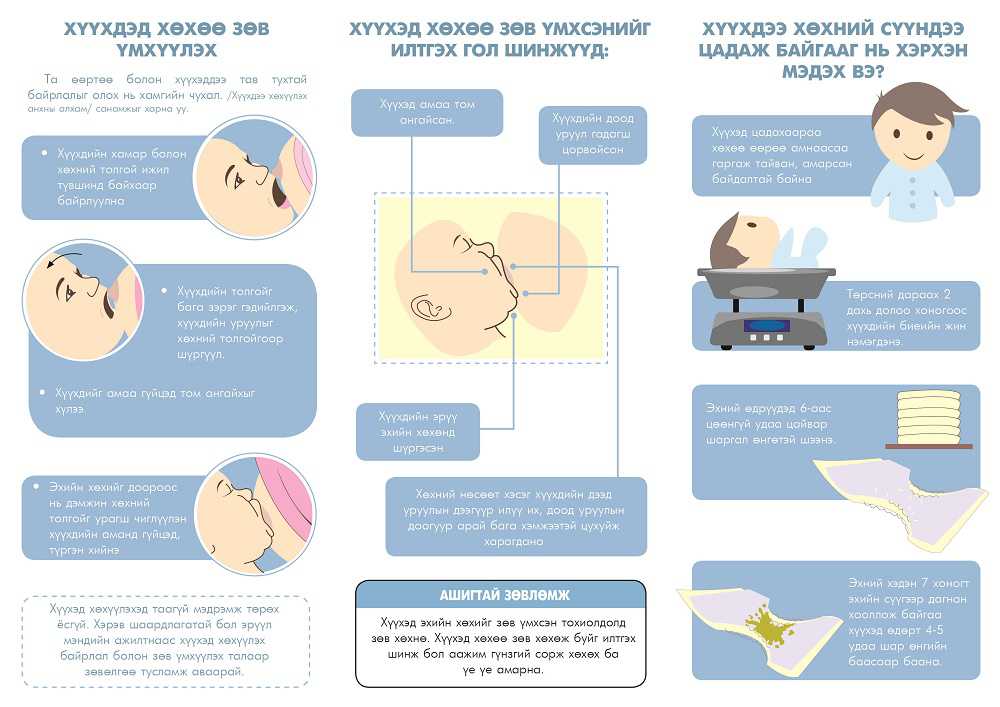 ИНФОГРАФИК: Хүүхдээ хөхүүлэхийн тулд та юу мэдэх ёстой вэ?